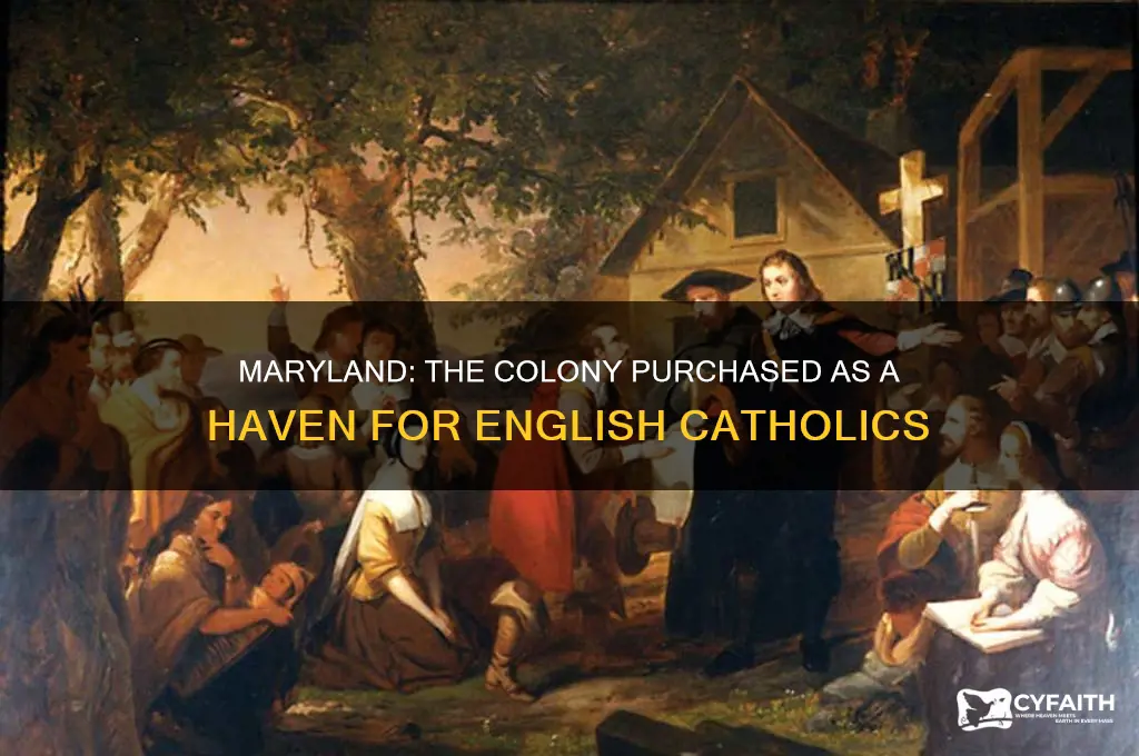 which of the thirteen colonies was purchased for english catholics