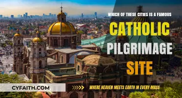 Discover the Renowned Catholic Pilgrimage City Among These Urban Destinations