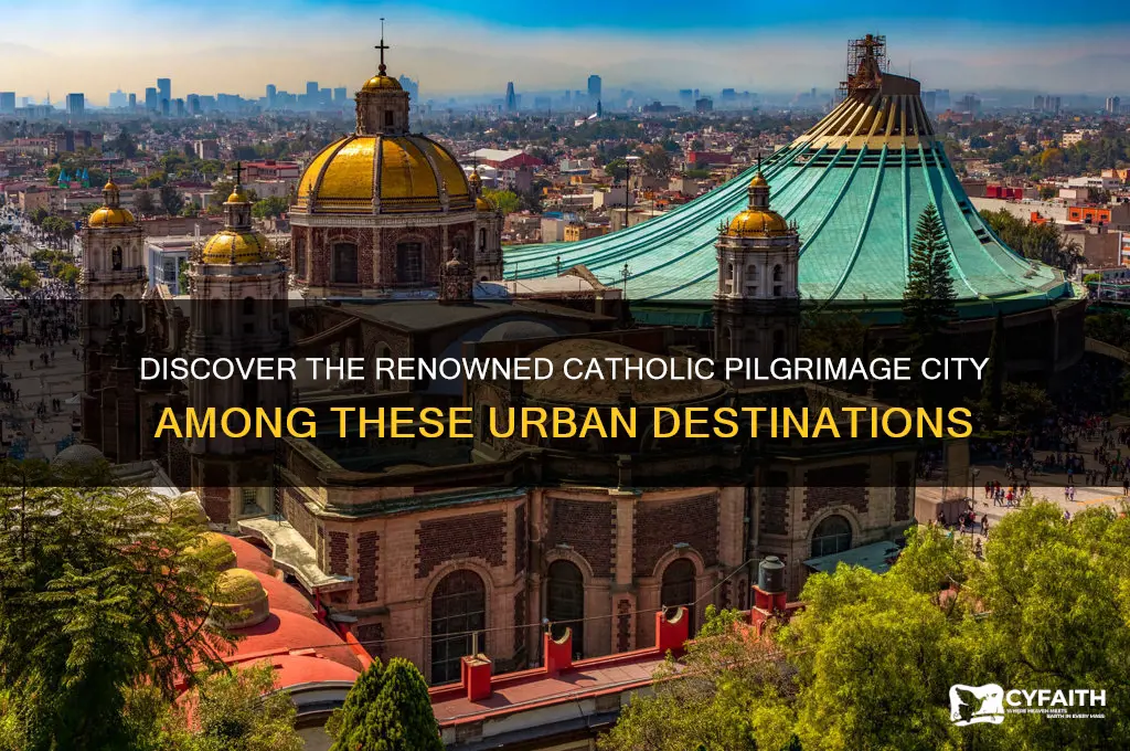 which of these cities is a famous catholic pilgrimage site