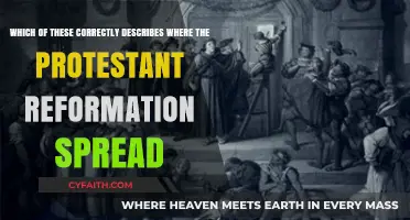 Tracing the Protestant Reformation's Spread: Regions, Routes, and Impact