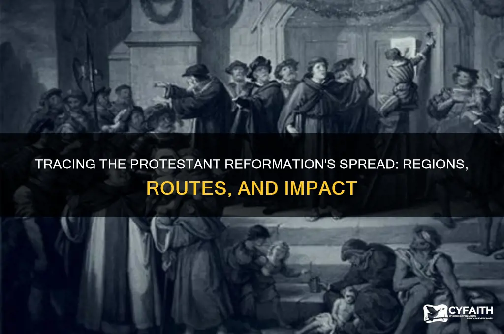 which of these correctly describes where the protestant reformation spread