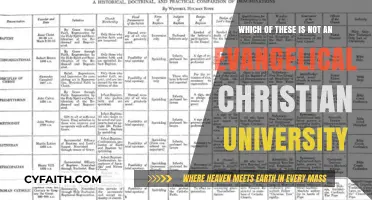 Exploring Faith and Education: Not All Christian Universities Are Evangelical