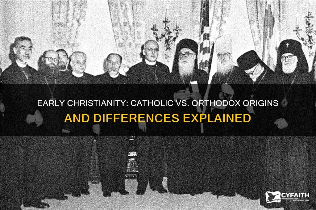 which one is erly chatolic or orthodox