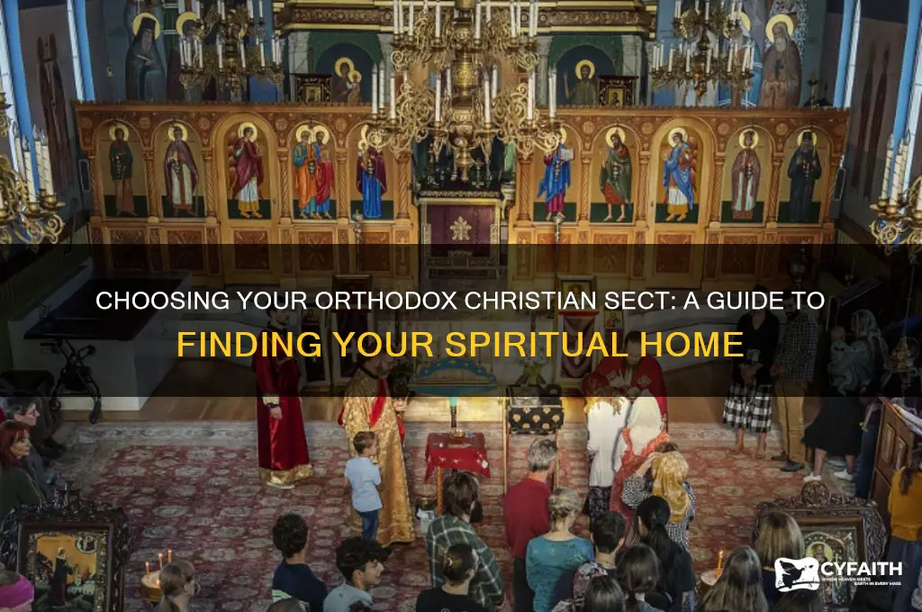 which orthodox christian sect should i choose