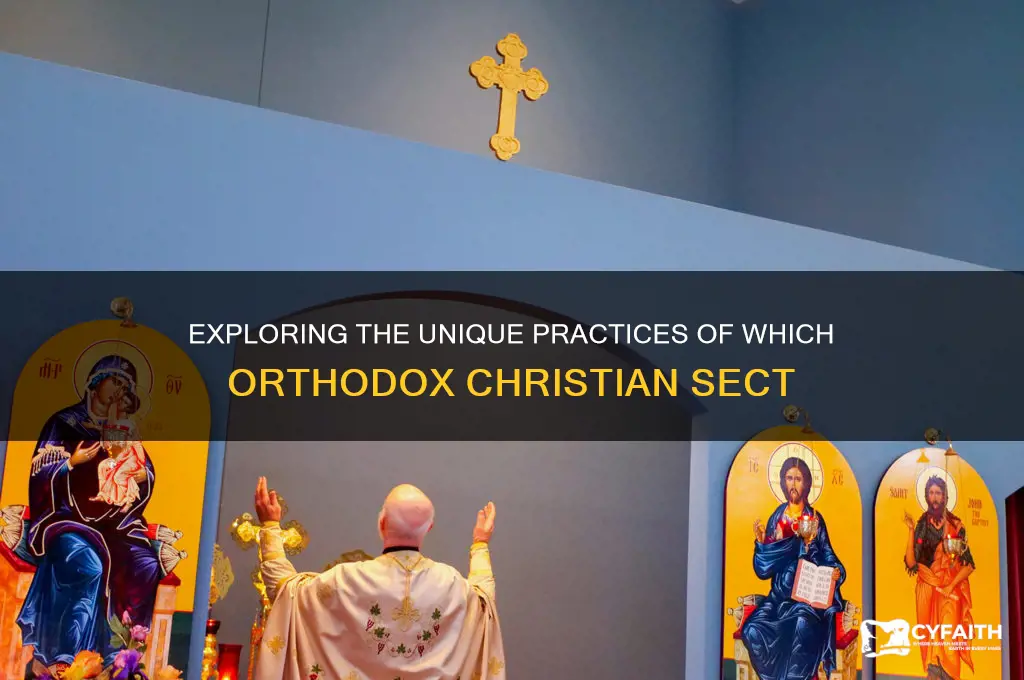 which orthodox christian sect