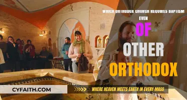 Orthodox Baptism Requirement: Which Church Rebaptizes Other Orthodox Christians?
