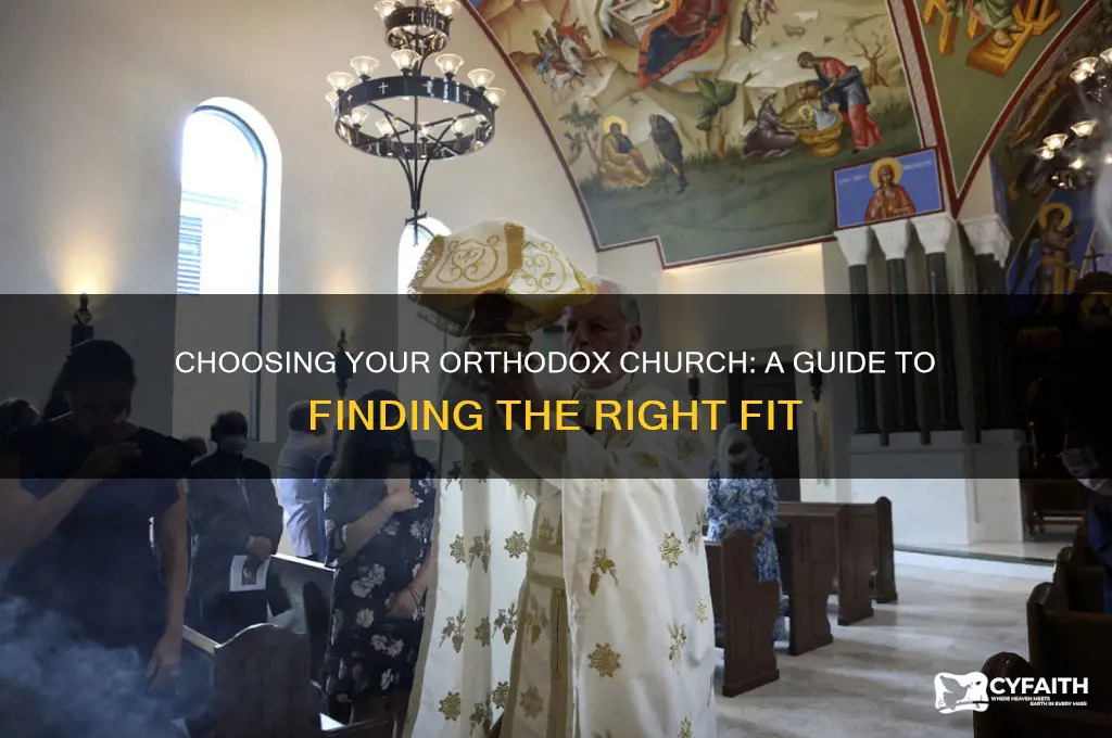 which orthodox church should i join