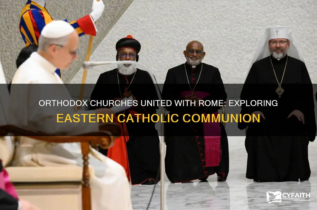 which orthodox churches are in communion with rome
