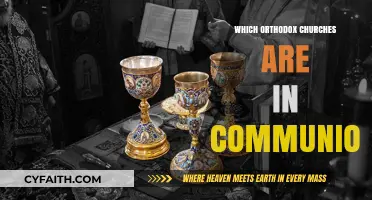 Orthodox Churches in Communion: Exploring Unity and Shared Faith Traditions