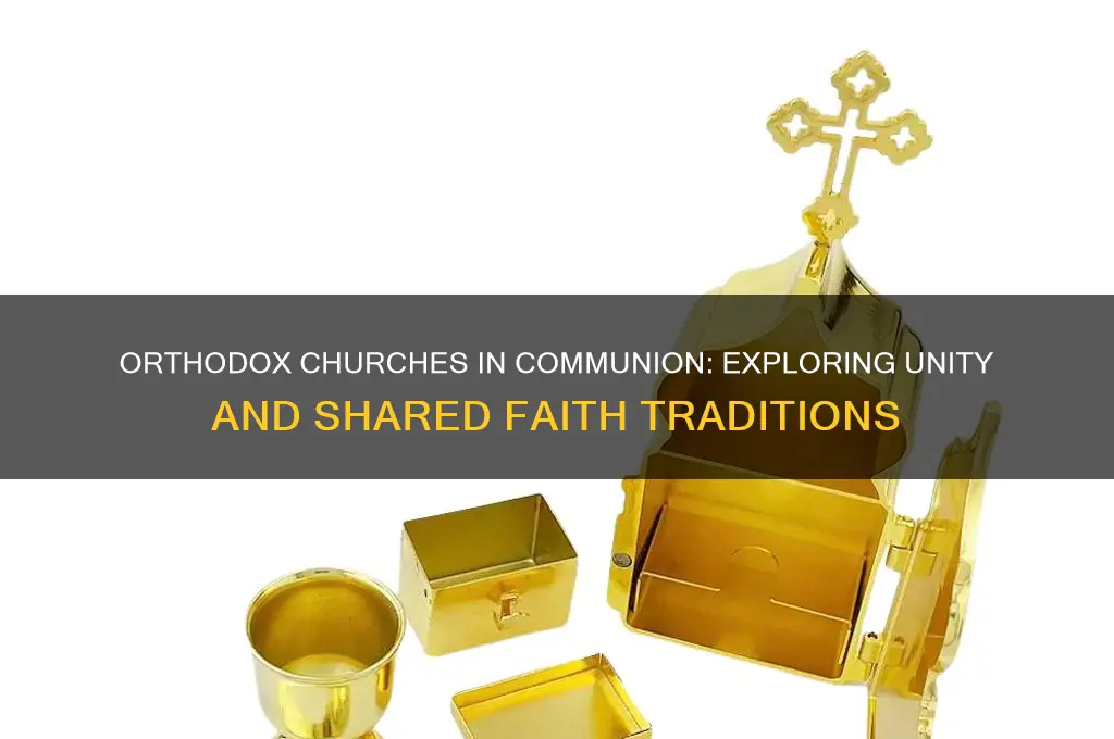 which orthodox churches are in communion