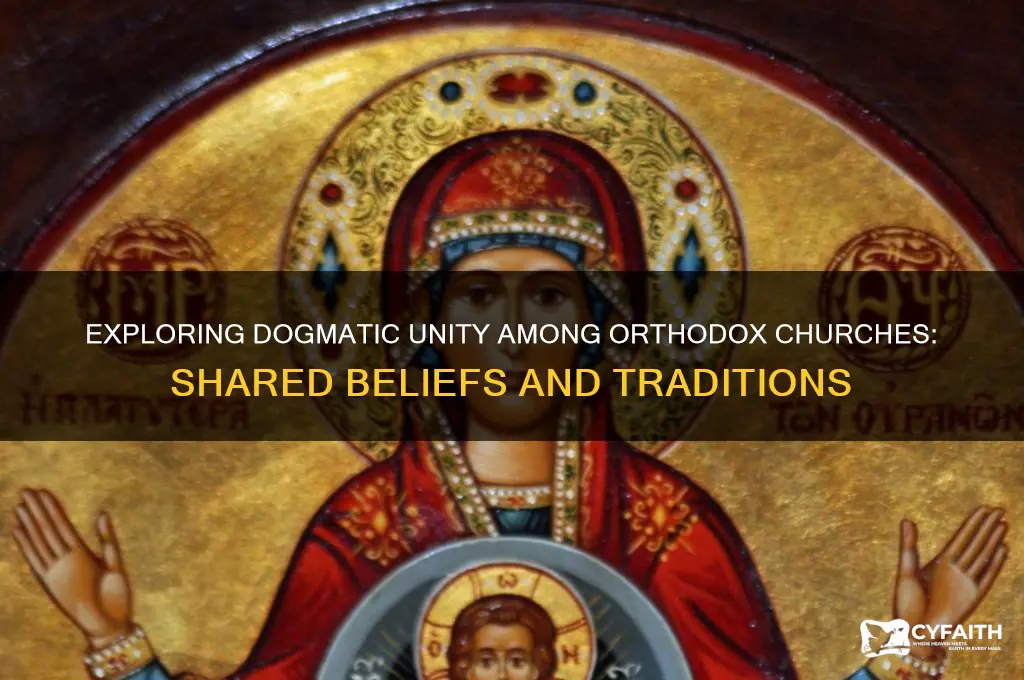 which orthodox churches are in the same dogmatic