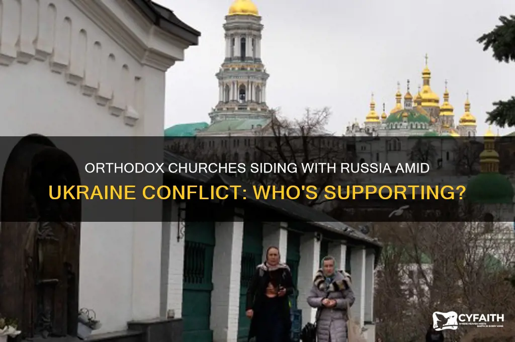 which orthodox churches are taking russians side on ukraine