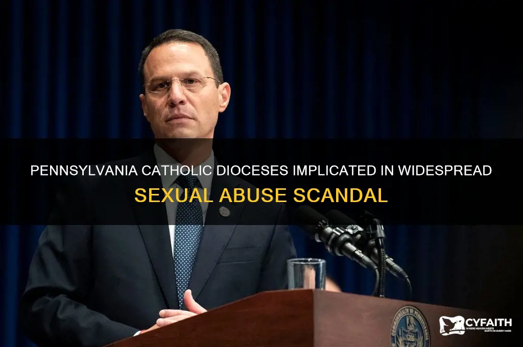 which pa catholic dioceses are involved in the sex scandal