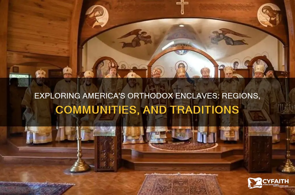 which parts of america are orthodox