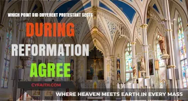 Protestant Unity: Core Beliefs Shared Across Reformation Sects