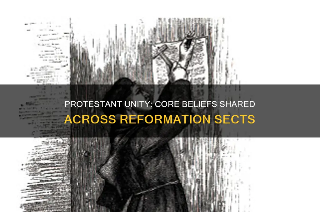 which point did different protestant sects during reformation agree