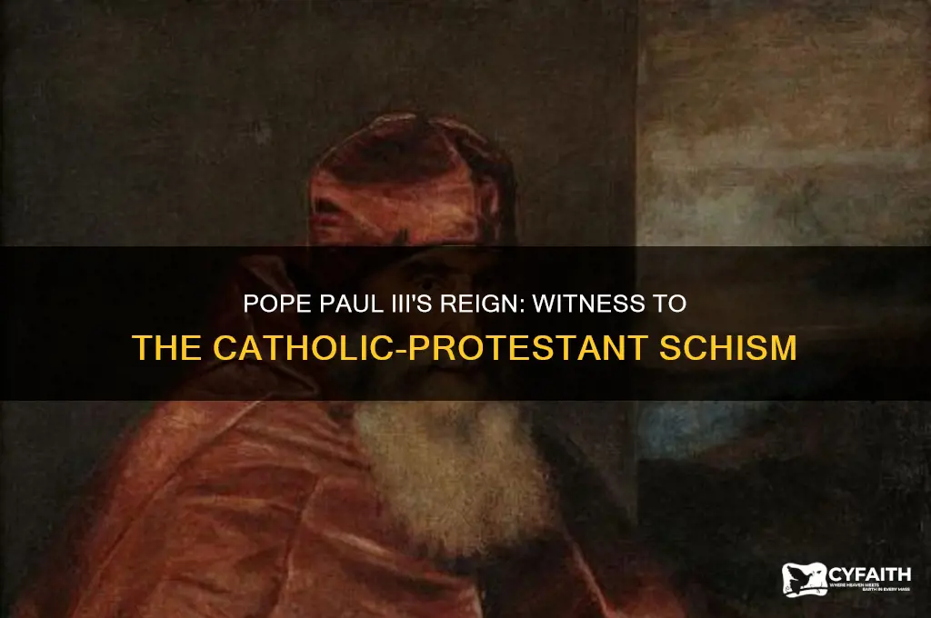 which pope saw the protestant and catholic split