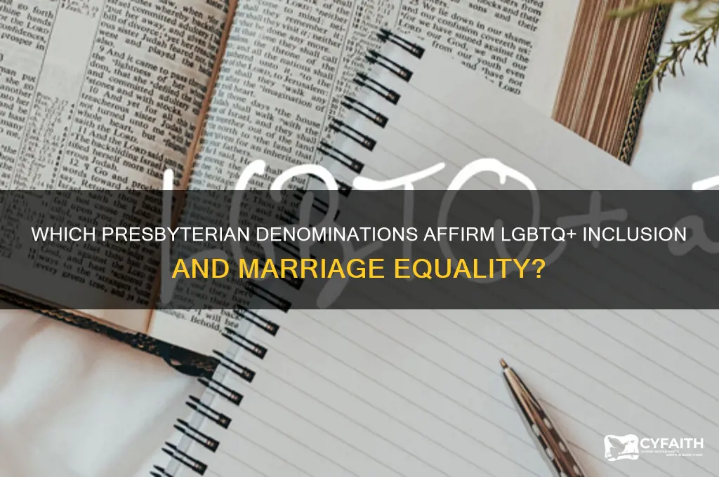 which presbyterian church supports homosexuality