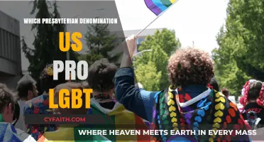 Affirming Faith: Presbyterian Denominations Supporting LGBTQ+ Inclusion in the US