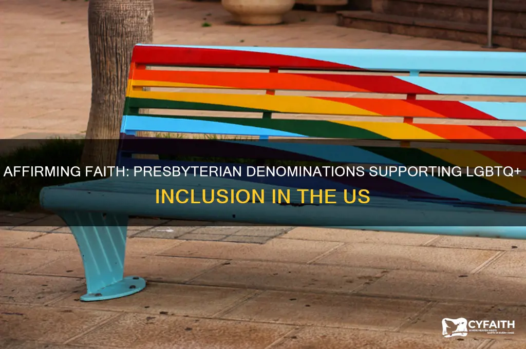 which presbyterian denomination us pro lgbt