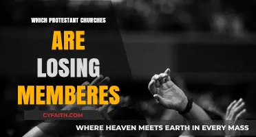 Declining Membership: Which Protestant Denominations Are Shrinking Fastest?