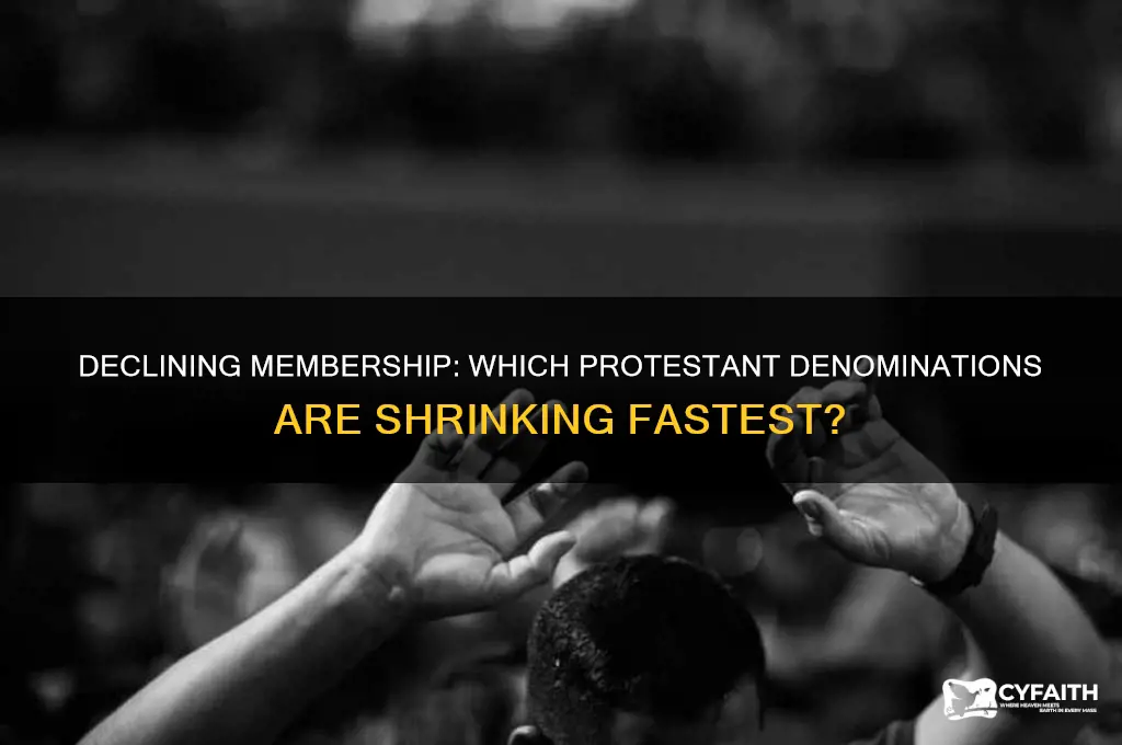 which protestant churches are losing memberes