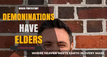 Protestant Churches with Elder Leadership: Exploring Denominational Traditions