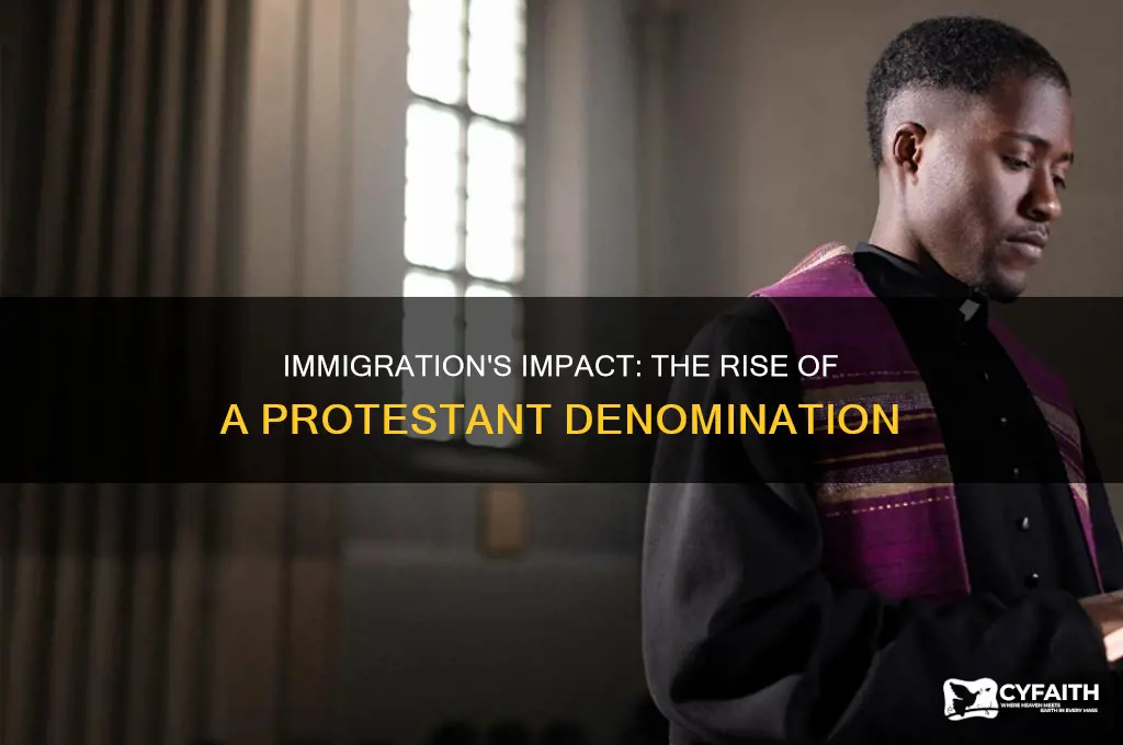 which protestant denomination grew due to immigration
