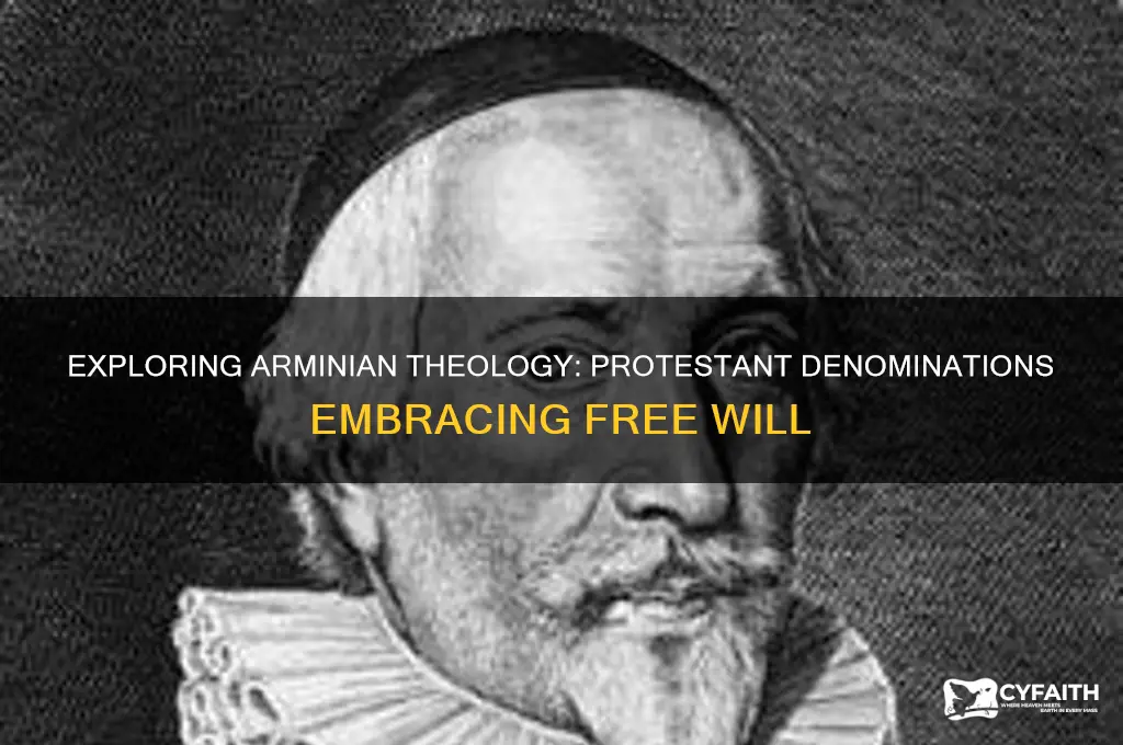 which protestant denominations are arminian