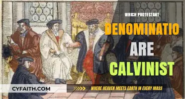 Exploring Calvinist Protestant Denominations: Beliefs, Practices, and Traditions