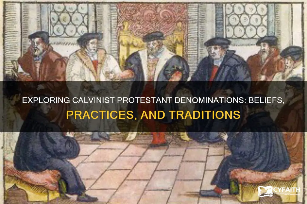 which protestant denominations are calvinist