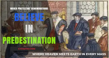 Predestination in Protestantism: Exploring Denominations That Embrace Divine Election