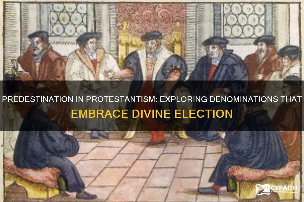 which protestant denominations believe in predestination