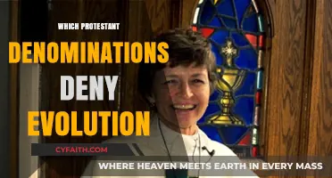 Protestant Denominations Rejecting Evolution: A Comprehensive Overview of Beliefs