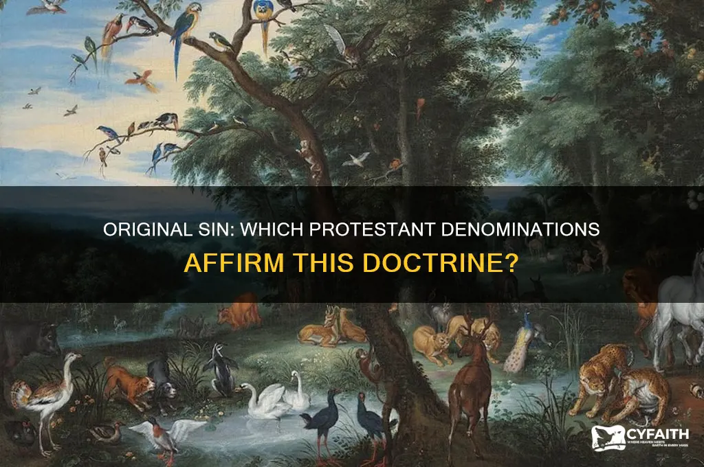 which protestant faiths believe original sin