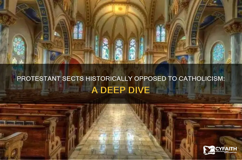 which protestant hate the catholicism