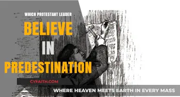 Predestination Beliefs: Key Protestant Leaders and Their Doctrinal Views