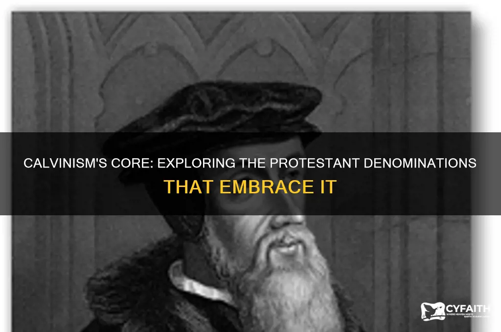 which protestant rleigoon is associated with calvinism