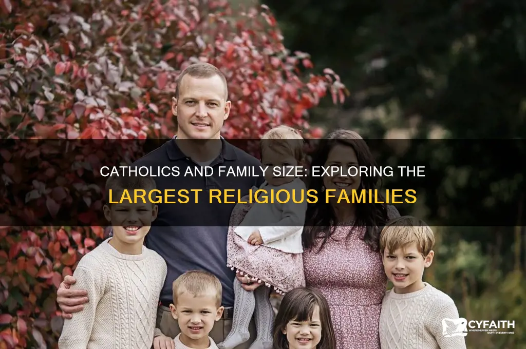 which religious group tends to have the largest families catholics