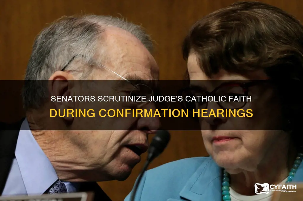 which senators were questioning a judge