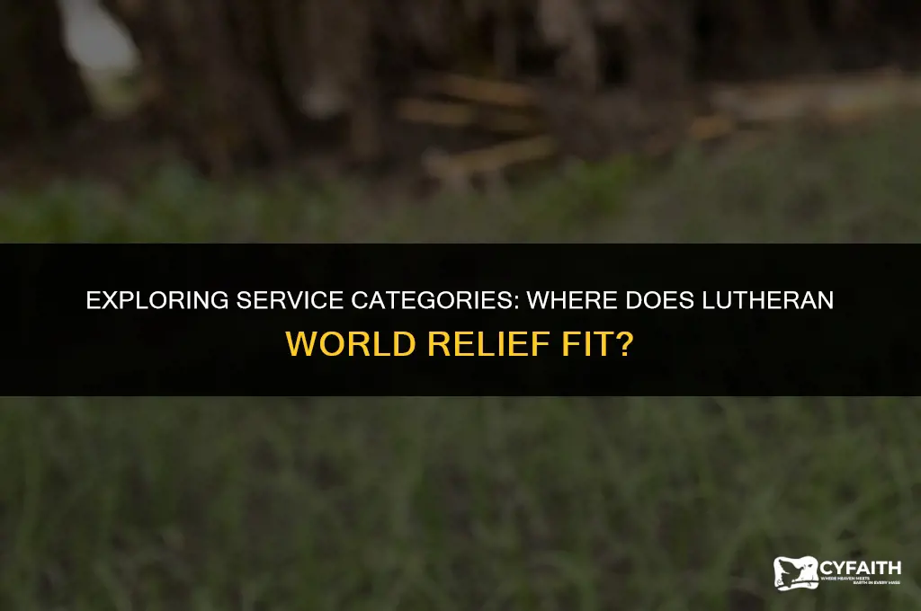which service category does the lutheran world relief represent
