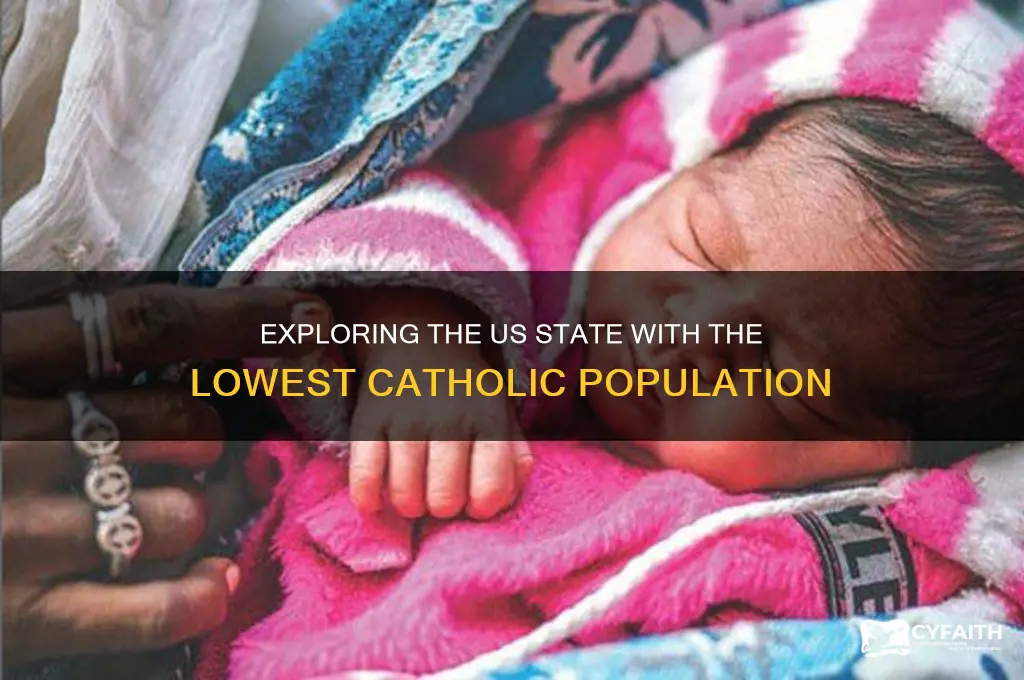 which state has the least catholic population