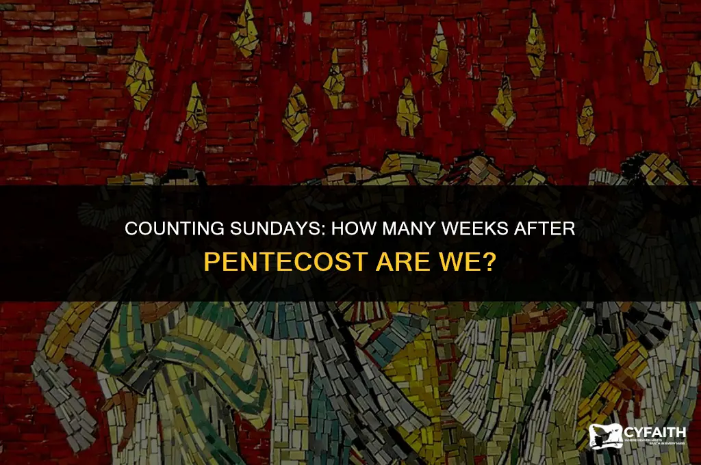 which sunday after pentecost is it