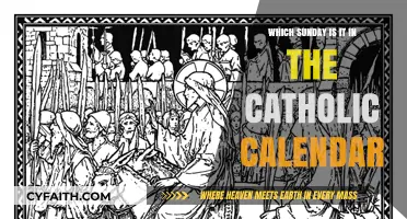 Understanding the Catholic Calendar: Identifying Each Sunday's Significance