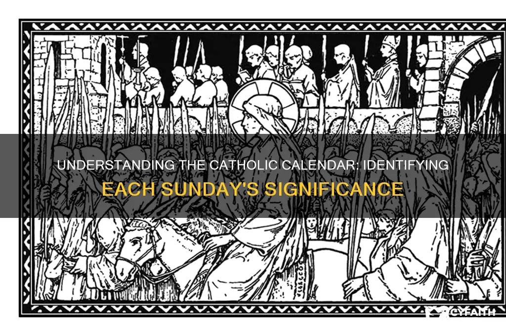which sunday is it in the catholic calendar