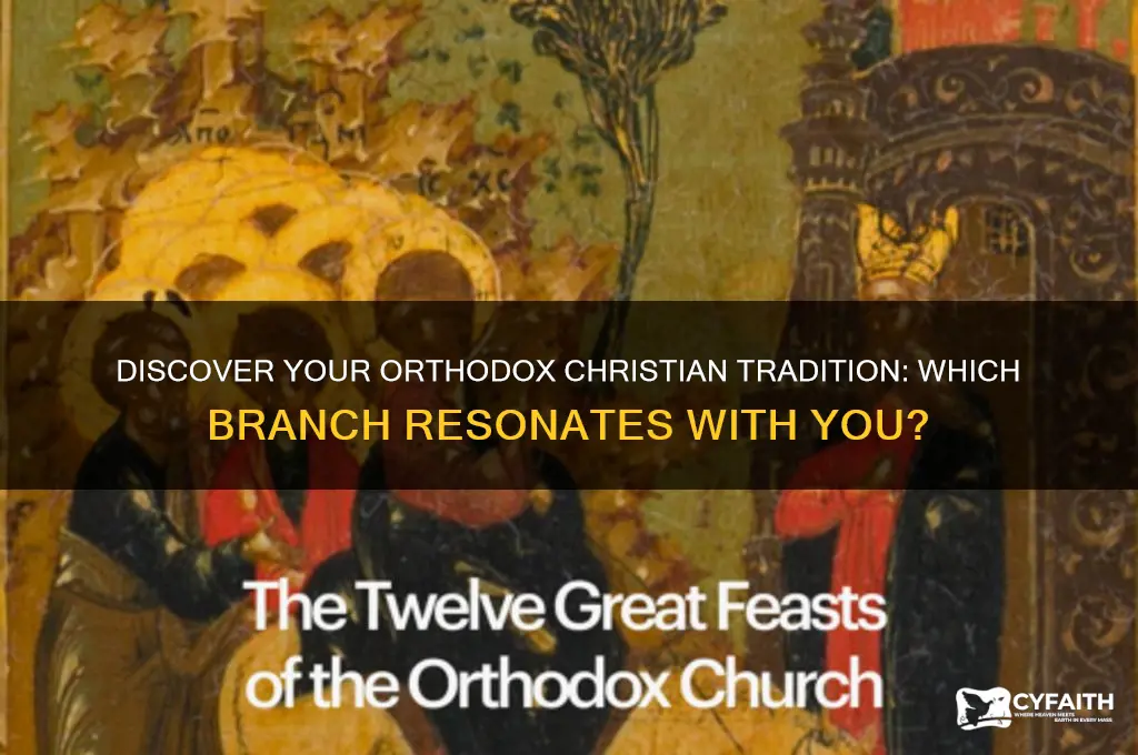 which type of orthodox chritisn are you