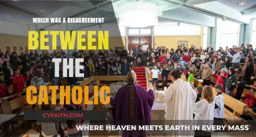 Catholic Disagreements: Unraveling Historical Conflicts Within the Church