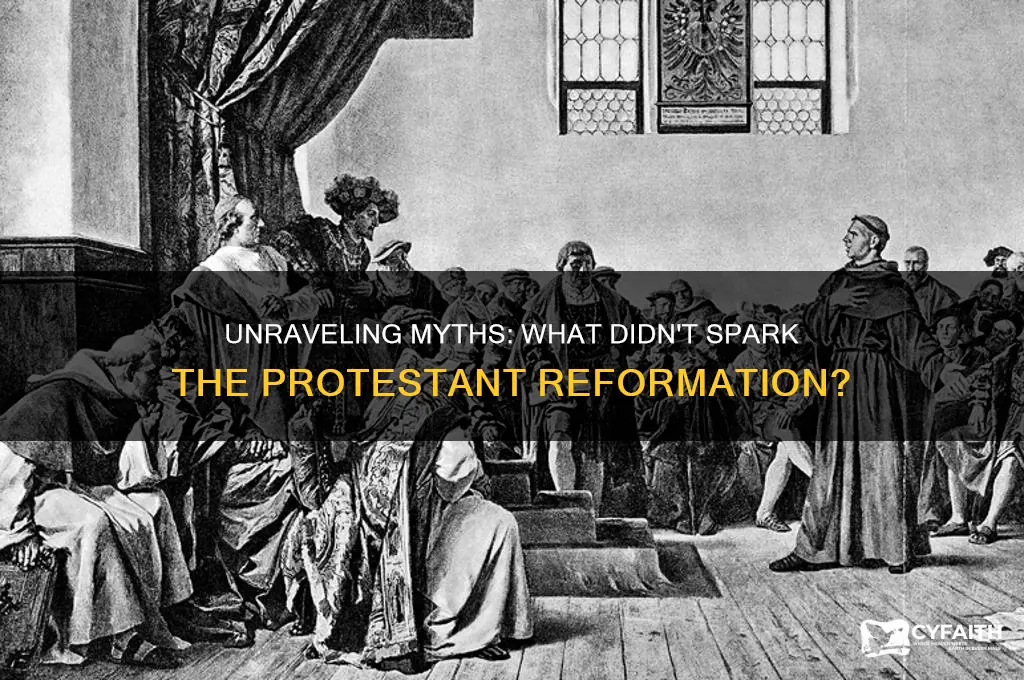 which was nit a cause of the protestant reformation