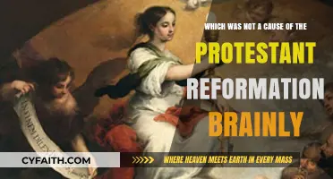 Unraveling Misconceptions: What Didn't Spark the Protestant Reformation?