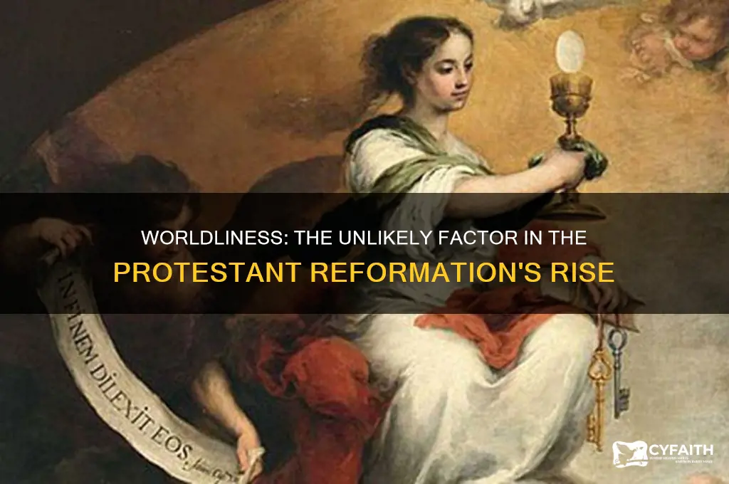 which was not a cause of the protestant reformation worldliness